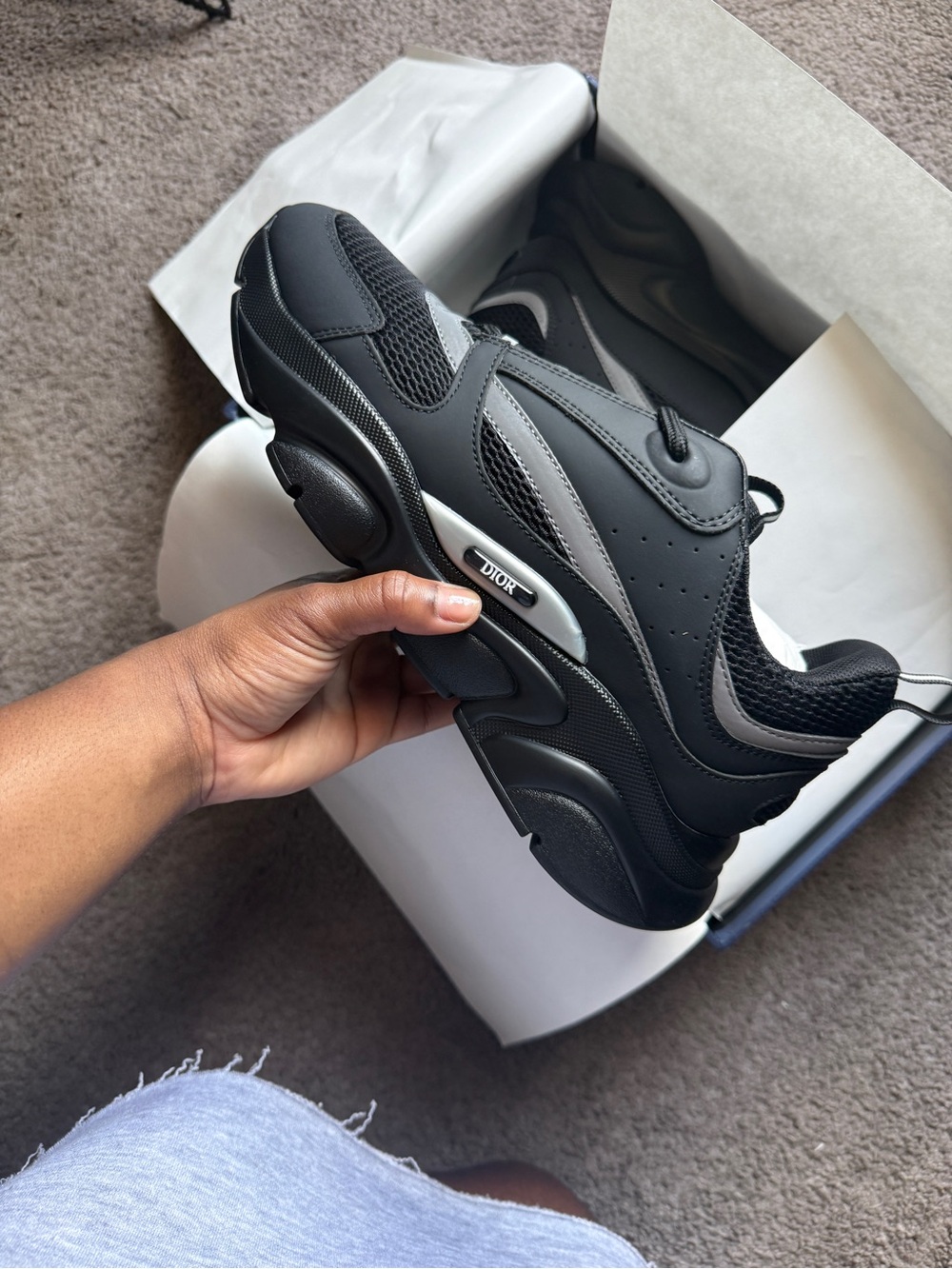 Dior B22